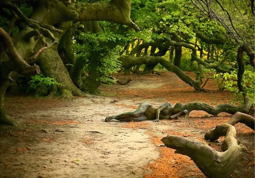 Bodypainters Beautifully Blend Human Bodies into Nature