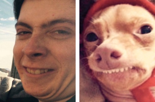 Hilarious Twitter Account Matches People with Their Doppelgnger Dogs