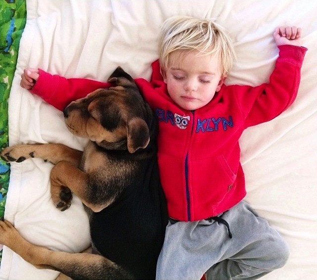 Adorable Toddler and His Puppy Continue Napping Together