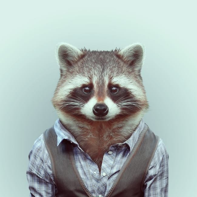 Funny Portraits of Animals Dressed Like Humans