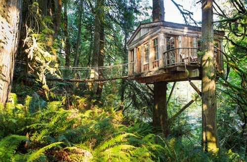 Nature-Inspired Resort Offers Treehouse Accommodations