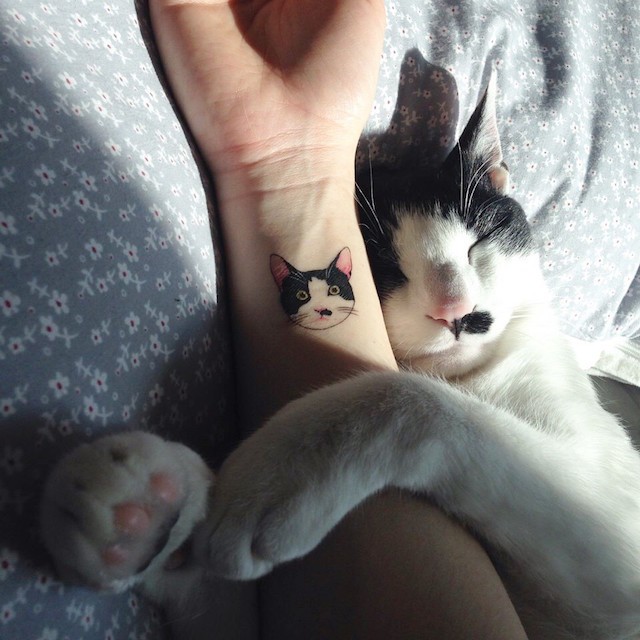 Cat Tattoos May Be the Cutest Way to Break the Law in South Korea
