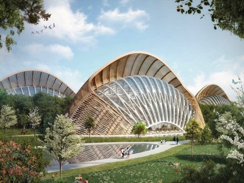 Stylish Eco-Friendly Villas Renew More Than They Consume