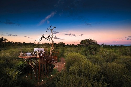 Sleep Under the Stars at This Stunning South African Resort