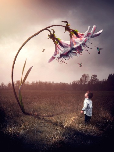 Interview: Photographer’s Surreal Portraits of His Sons Capture the Innocence of Childhood