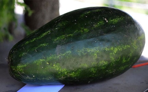 This Incredibly Detailed Dragon Head Was Expertly Carved into a Watermelon
