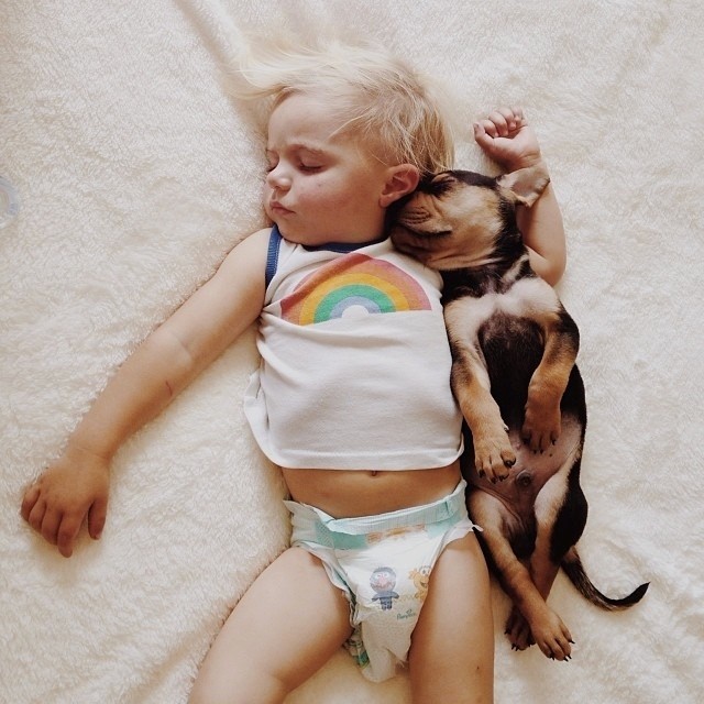 Adorable Photos of a Toddler Napping with His Puppy