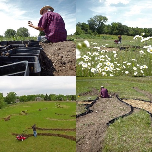 Artist Cultivates 1.2-Acre Field Into Massive Crop Art Paying Homage to Van Gogh