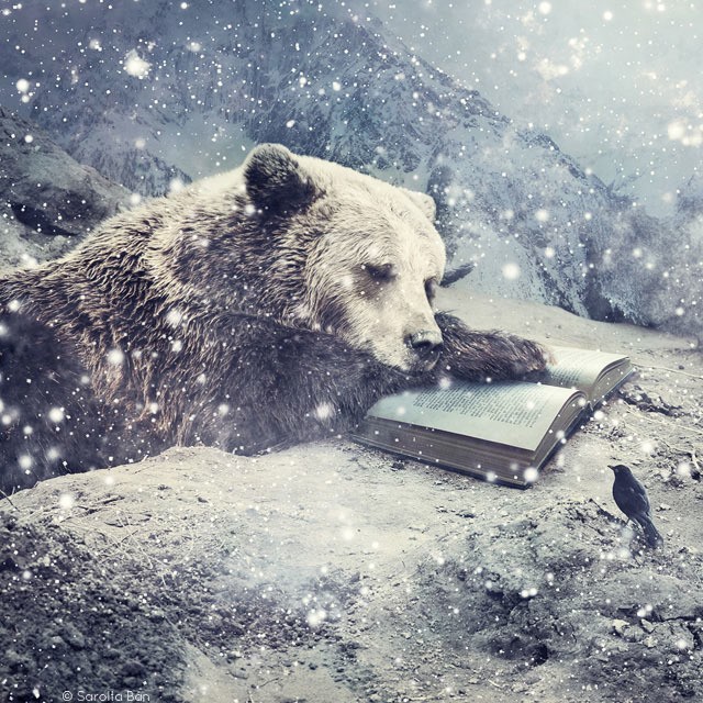 New Surreal Photo Manipulations by Sarolta Bn