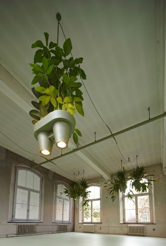 Inventive Space-Saving Light Design Also Holds Potted Plants