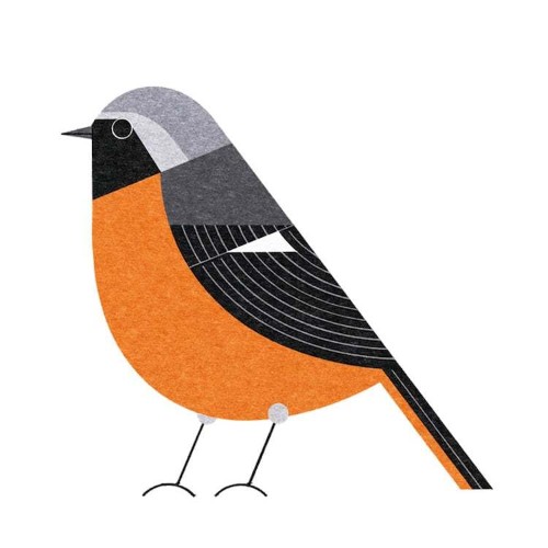 Japanese Illustrator Creates Beautiful Handbook of the Birds You’ll Find in Tokyo