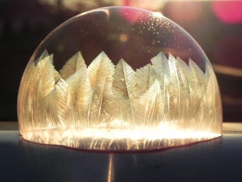 Incredible Frozen Bubbles Sprout Beautiful Feather Crystals