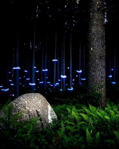 Glowing Light Installations Produce Ethereal Landscapes