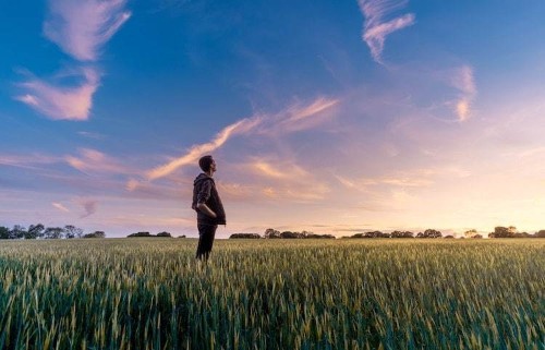 Japanese ‘Ikigai’ Philosophy Could Be the Secret Formula to a Long and Happy Life