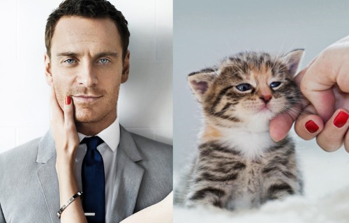 Hilarious Photos of Sexy Men and Adorable Cats in Similar Poses