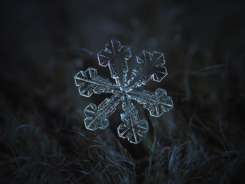 Beautiful Macro Photos of Snowflakes as Free Wallpapers