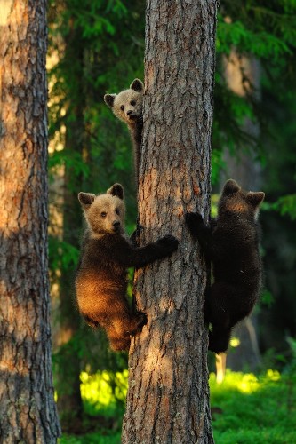 10 Stunning Standouts in National Geographic Photography Contest 2013