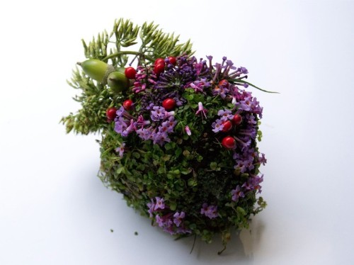 Human Organs Formed with Wild Plant Arrangements