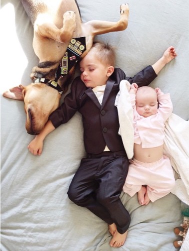Adorable Baby Sister Joins Famous Toddler and Puppy for Daily Naps