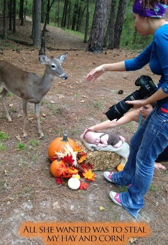 Curious Deer Photobombs Baby’s Photoshoot and Turns It into a Magical Portrait