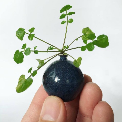 Artist Creates Miniature Hand-Thrown Pottery Small Enough to Sit on Your Fingertip