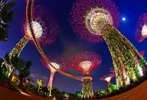 Surreal Photos of Singapore’s Solar-Powered Supertrees
