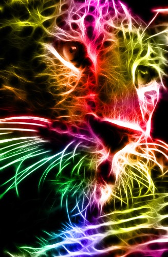 Spectacular Animal Portraits as Electrifying Bursts of Color