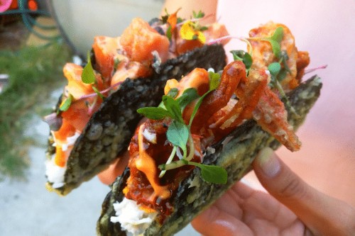 ‘Norigami’ Sushi Tacos Blend the Best of Both Worlds into One Tasty Treat