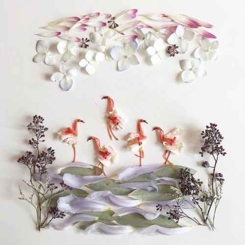 Botanical Artist Uses Foraged Materials to Create Organic Works of Art