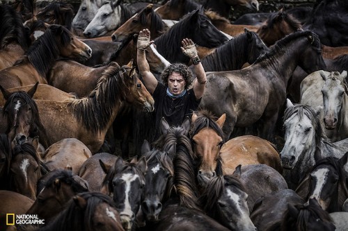 Extraordinary Entries from the 2015 National Geographic Photo Contest