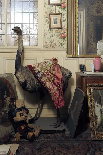 “Time Capsule” Apartment in Paris Found Untouched for 70 Years