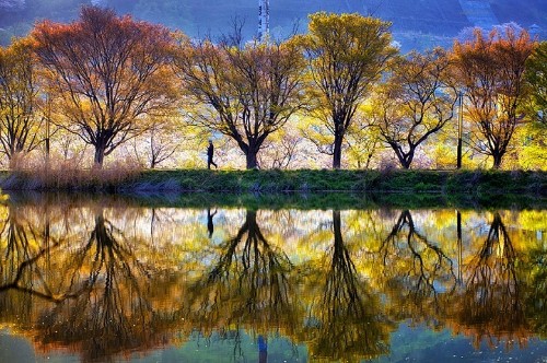 Photographer Captures Stunning South Korean Landscapes Reflected in Mirror-Like Lakes