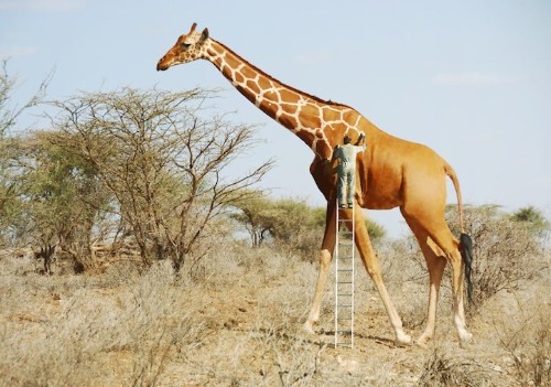 Whimsical Photo Manipulations Offer Lighthearted Perspectives on the Natural World