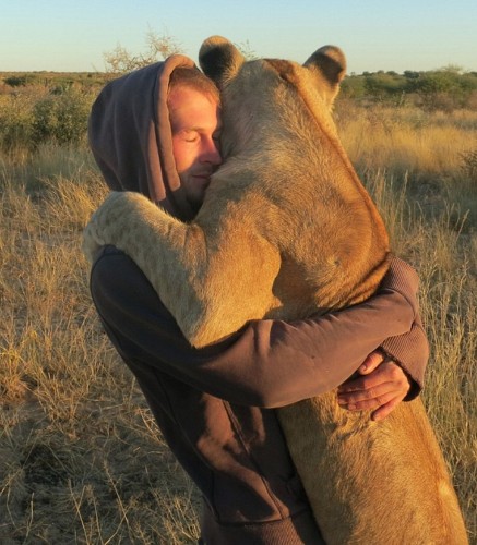 Heartwarming Video of a Lioness Excitedly Hugging the Man Who Rescued Her