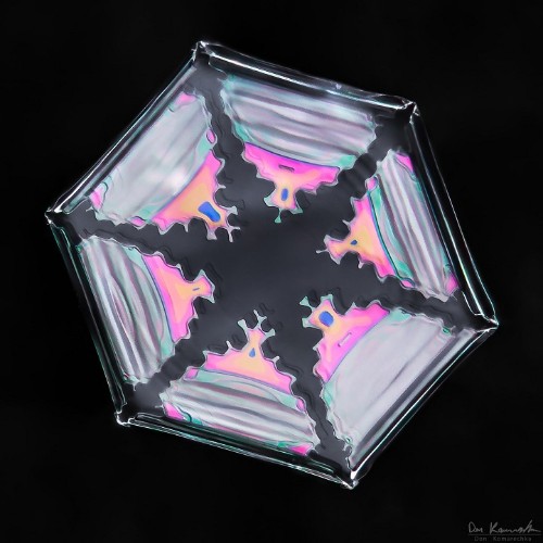 Photographer Spent 2,500 Hours Capturing Stunning Photos of Complex Snowflakes