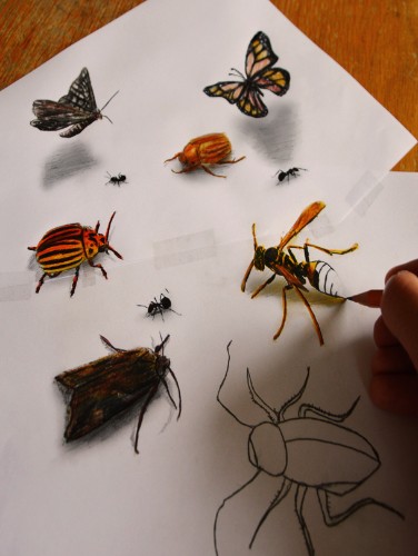 Ramon Bruin’s New 3D Illustrations Spring to Life