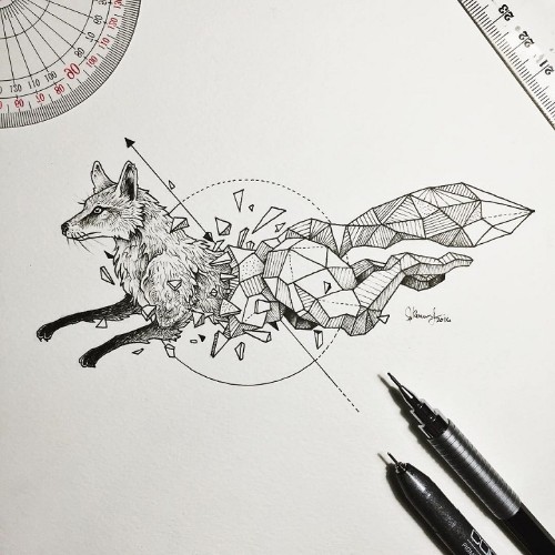 Wild Animal Illustrations Burst Out of Geometric Encasings