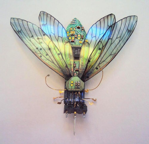 Beautiful Winged Insects Made of Discarded Circuit Boards