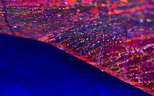 Ferrari California T Covered with Glowing Paints in a Unique Video Exploration of Speed