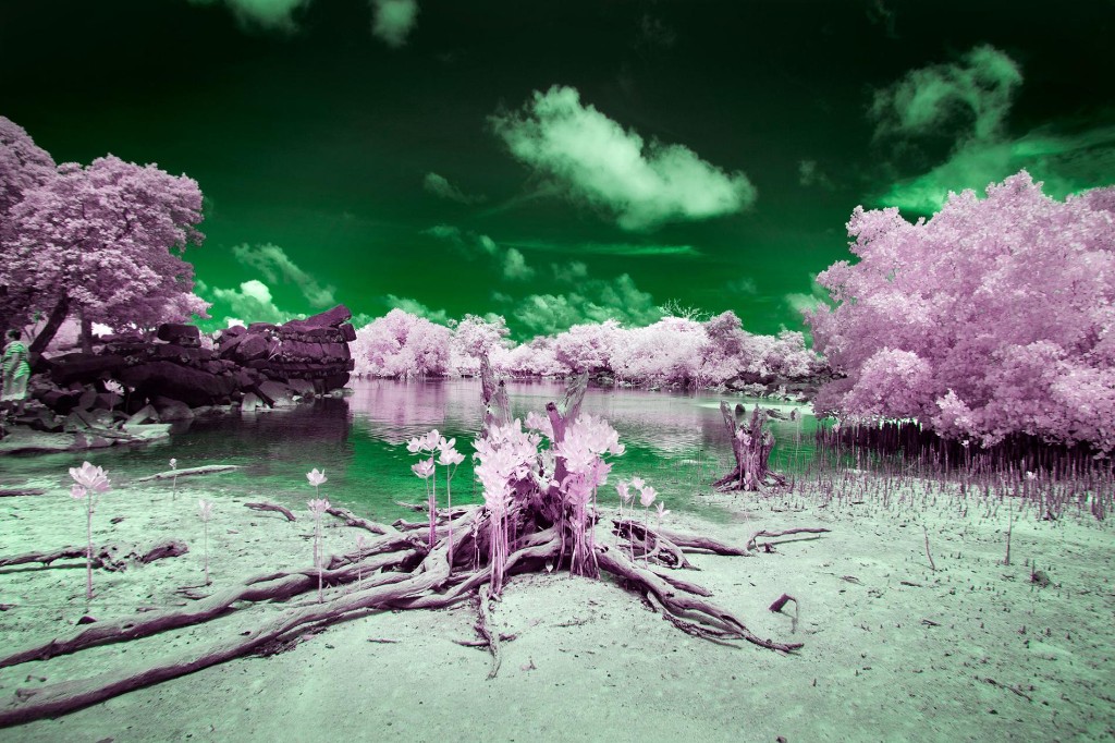 An Island’s Curious History of Color Blindness—And 4 More Stories You Should Read This Weekend