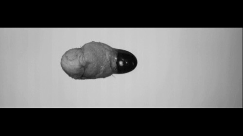 Watch Sodium and Water Levitate and Collide