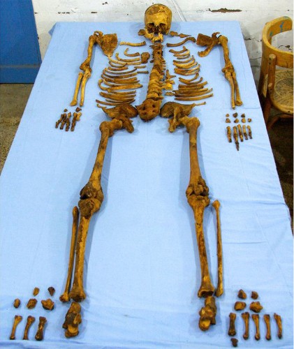 Pharaoh of "Lost Dynasty" Died Brutal Death, Forensic Study Reveals