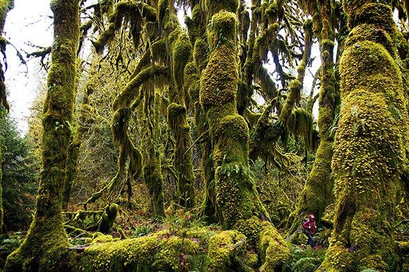 10 Great Pleasure Hikes in the U.S.A.