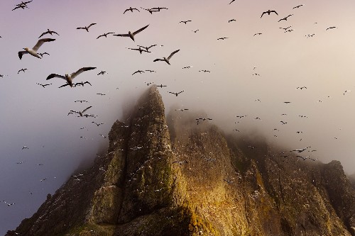 A Long Love Affair With the Scottish Isles, in Pictures
