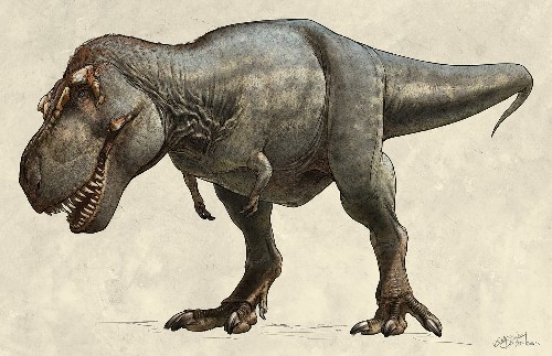 the biggest t rex ever found