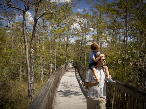 Florida by Land: Walk on the Wild Side
