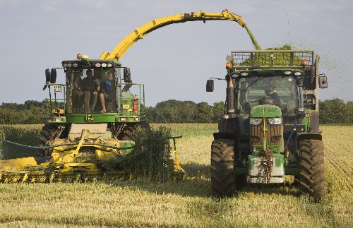 Italians Show Energy and Food Can Grow in Harmony