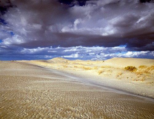 Why You Need More Dirt in Your Life