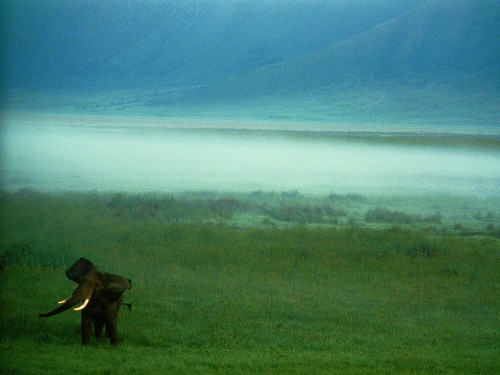 Tanzania Photos