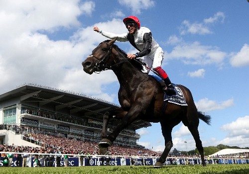 Racehorses Are Getting Faster—It Could Be Evolution